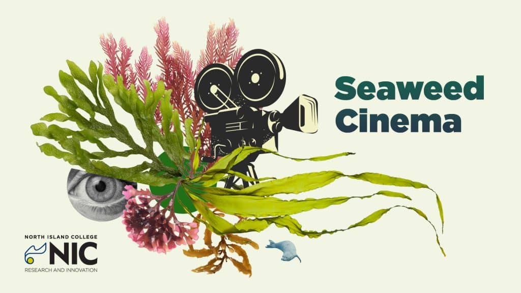 Collage-style image with seaweed, coral, and shells in front of a vintage film camera. “Seaweed Cinema” appears prominently as the text. North Island College and Research and Innovation logos are at the bottom left.