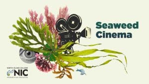 Collage-style image with seaweed, coral, and shells in front of a vintage film camera. “Seaweed Cinema” appears prominently as the text. North Island College and Research and Innovation logos are at the bottom left.
