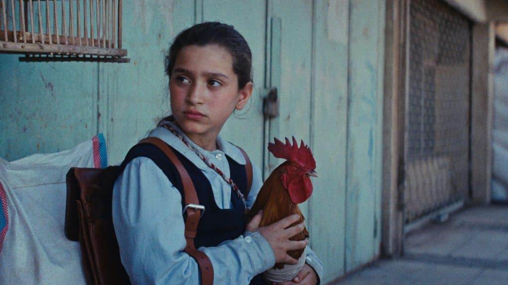 A young person in a school uniform holds a rooster, looking to the side with a serious expression, standing against a weathered wall and a closed shop gate—a quiet scene that unfolds near the vibrant bustle of CRFF.